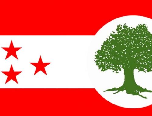 नेपाली कांग्रेस : लोकतन्त्रको ठेकेदार कि अलोकतन्त्रको अभ्यासकर्ता ?